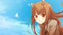 51734_spice_and_wolf_holo.jpg