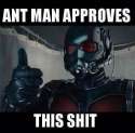 Antman Approves.jpg
