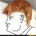 Trump hair piece.jpg
