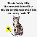safety kitty.jpg