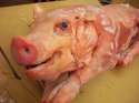 799px-Dead_frozen_pig_smiles_by_Artist_of_Madness.jpg