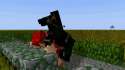 4-1650771 - Aureylian DAzaya Horsea Mine-imator Minecraft animated youtuber.gif