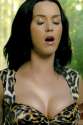 Katy-Perry-Shows-Off-Her-Cleavage-In-A-Tarzan-Outfit-In-Her-Music-Video-For-Roar-02-760x1140_zps524ebe41.jpg