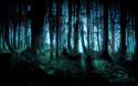 glow forest.jpg