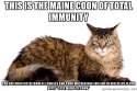 Immunity Coon.jpg