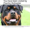 psychic rottweiler.jpg