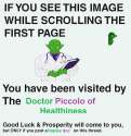 doctor piccolo.png