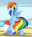 Mlp Rainbow Dash Beach Art.jpg