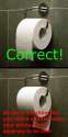 toilet paper.png