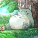 Totoro (63).jpg