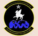 22d_Space_Operations_Squadron.png