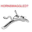 hornswaggled.png