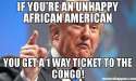 if-you39re-an-unhappy-african-american-you-get-a-1-way-ticket-to-the-congo-meme-41995.jpg