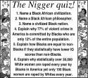 the nigger quiz.jpg