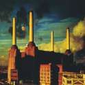 Pink-Floyd-Animals1.jpg