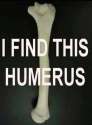 Humerus.jpg