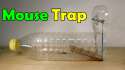 mouse-trap_7-fun-board-games-to-play.jpg