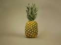 pineapple-gif.gif w=560.gif