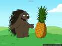 porcupine-meeting-pineapple-o.gif