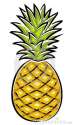 pineapple-vector-illustration-9672275.jpg