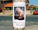 lost-cat-signage.jpg