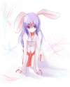 animal_ears bad_id bunny_ears female ichika miyako_hana shirt touhou-a8f0c5612f62d98153a9599875264d4d.jpg