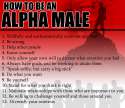 Alpha Male.jpg