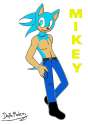 mikey_the_hedgehog__guardian_state__by_mikeythehero-d5j9pud.jpg