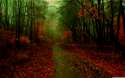 misty_autumn-wallpaper-3840x2400.jpg