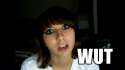 boxxy-wut.png