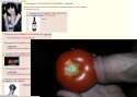tomato dick.png