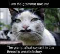 grammar nazi cat.jpg