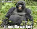 gorilla warfare.jpg