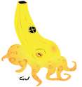 banana kazoo cephlopod.png