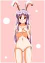 1girl absurdres animal_ears bikini breasts bunny_ears female highres honda_takaharu huge_breasts purple_hair serikaserika solo swimsuit touhou-badd49e2783495874bfe3391581d6399.png