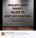 islamisperfect.png