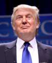 Can-Donald-Trump-Make-America-Great-Again-2-248x300.jpg