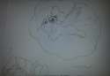 40307 - artist DawkyGifOwwies doodle dreaming fluffy paper pegasus safe sketch sleeping.png