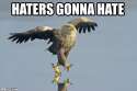 Haters-Gonna-Hate-Eagle.jpg
