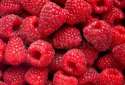 7624990-ripe-rasberry-fruit-horizontal-close-up-background.jpg