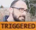 vsaucetriggered.png
