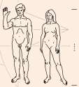 2000px-Pioneer_plaque_humans.svg (1).png