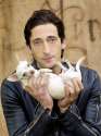 funny-adrien-brody-with-puppy-graphic.jpg