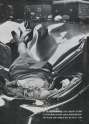 The Most Beautiful Suicide - Evelyn McHale leapt to her death from the Empire State Building, 1947.jpg