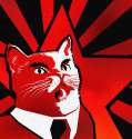 Commie cat.jpg