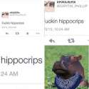 hippocrips.jpg