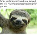 Handsome Sloth.png