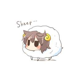 Kaga sheep.jpg