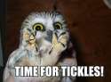 time for tickles.jpg