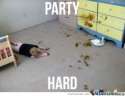 party hard.jpg